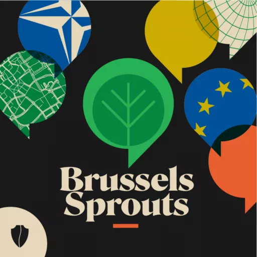 Brussels Sprouts A Look at 2024 with Richard Fontaine and