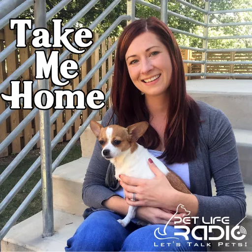 Take Me Home - Pet Adoption and Animal Rescue - Pets & Animals on