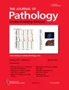 Podcasts from The Journal of Pathology artwork