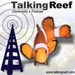 Talkingreef Podcast artwork