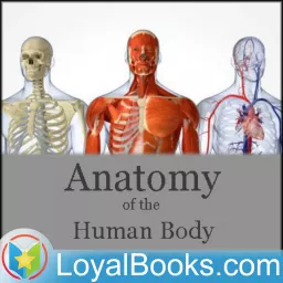 Anatomy of the Human Body by Henry Gray Podcast artwork