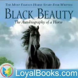 Black Beauty by Anna Sewell