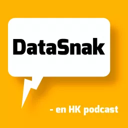 DataSnak Podcast artwork