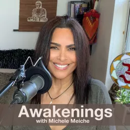 Awakenings with Michele Meiche Podcast artwork