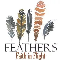 Feathers : Faith in Flight Podcast artwork