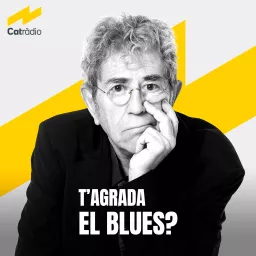 T'agrada el blues? Podcast artwork