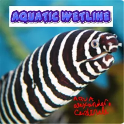 Aquatic Wetline with Aqua Alex Podcast artwork