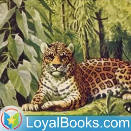 The Burgess Animal Book for Children by Thornton W. Burgess