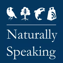 Naturally Speaking Podcast artwork