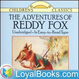 The Adventures of Reddy Fox by Thornton W. Burgess