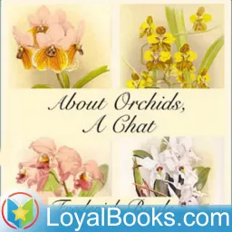 About Orchids, a Chat by Frederick Boyle