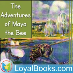 The Adventures of Maya the Bee by Waldemar Bonsels