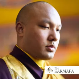 Selected Talks on Buddhism and Meditation by the Karmapa Podcast artwork