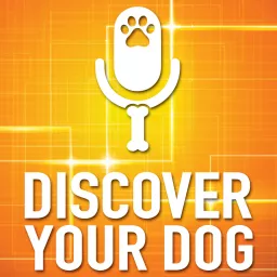 Discover Your Dog