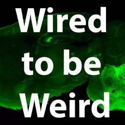Wired to be Weird Podcast artwork