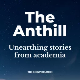 The Anthill Podcast artwork