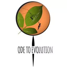 Ode to Evolution Podcast artwork