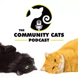 The Community Cats Podcast artwork