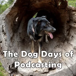 Dog Days of Advent 2023 Podcast artwork