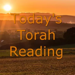 Today's Torah Reading with Nita Luttrell