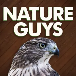 Nature Guys Podcast artwork