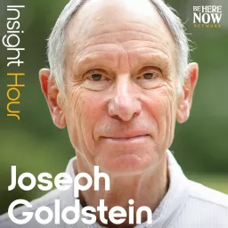 Insight Hour with Joseph Goldstein Podcast artwork