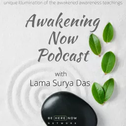 Awakening Now with Lama Surya Das Podcast artwork