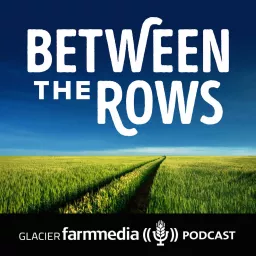 Between The Rows Podcast artwork