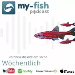 my-fish.org – Aus Freude an der Aquaristik (Aus Freude an der Aquaristik Podcast) artwork