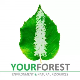 YourForest