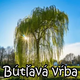 Bútľavá vŕba