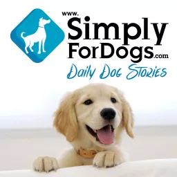 Simply For Dogs|Franklin Medina discusses the latest dog tips, dog strategies, dog training, and everything related to dogs