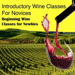 Introductory Wine Classes for Novices Podcast artwork