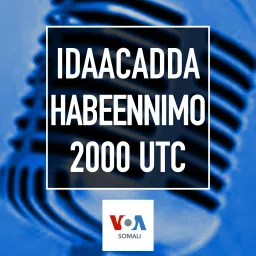 Idaacadda Habeenimo - VOA Podcast artwork
