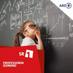 Professorin Domino