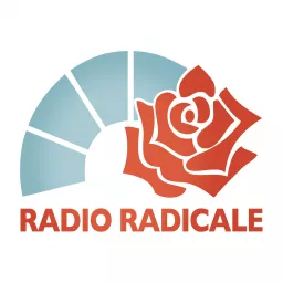 Radio Radicale - Spazio Transnazionale Podcast artwork