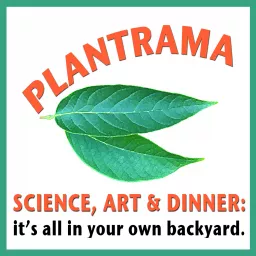 Plantrama - plants, landscapes, & bringing nature indoors