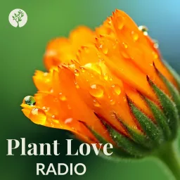 Plant Love Radio