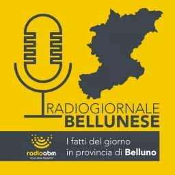 Radiogiornale bellunese Podcast artwork