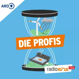 Die Profis Podcast artwork