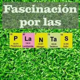 Podcast Fascinación por las plantas