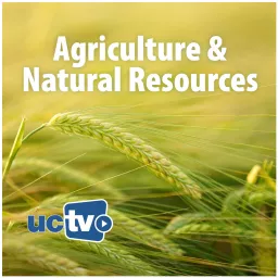 Agriculture and Natural Resources (Video) Podcast artwork