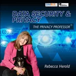 Data Security and Privacy with the Privacy Professor