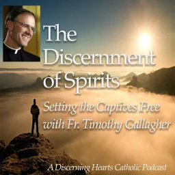 Discernment of Spirits with Fr. Timothy Gallagher - Discerning Hearts Catholic Podcasts artwork