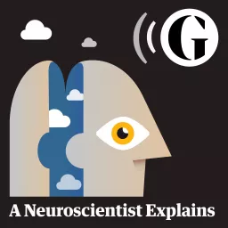 A Neuroscientist Explains Podcast artwork