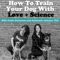 School For The Dogs Podcast Dog Training Animal Behavior With Annie Grossman Podcast Addict