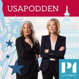 USApodden Podcast artwork