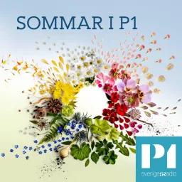 Sommar & Vinter i P1 Podcast artwork