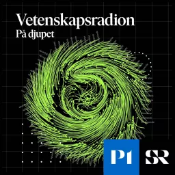 Vetenskapsradion