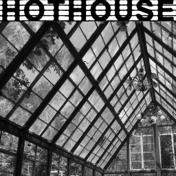 Hothouse Podcast artwork